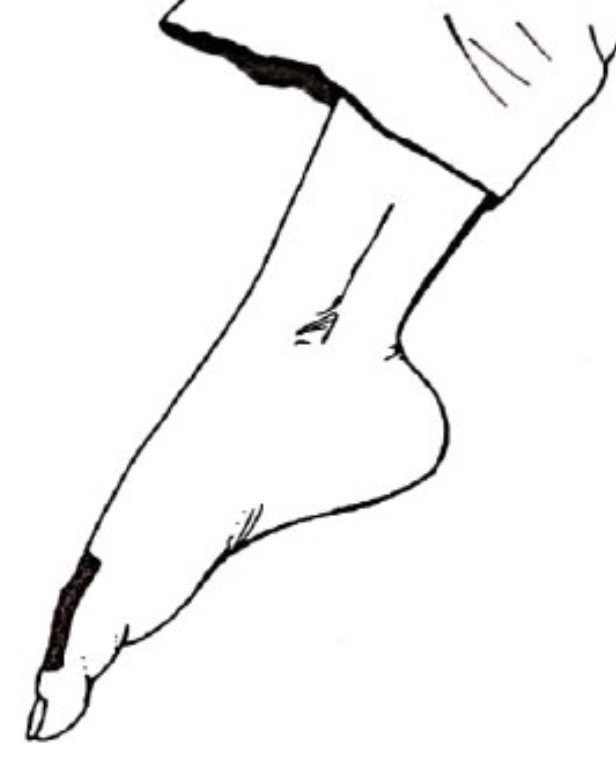 Haisoku dessin